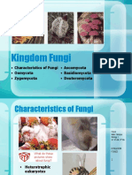 Kingdom Fungi: - Characteristics of Fungi - Oomycota - Zygomycota - Ascomycota - Basidiomycota - Deuteromycota