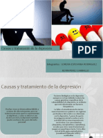 Causas y Tratamiento de La Depresion