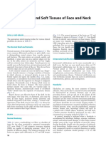 Cabeza y Cuello PDF