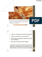 Clase 3. Citoplasma, citoesquelo y organelas fibrilares.pdf