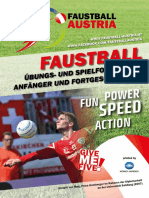 Lehrunterlage_FAUSTBALL_OEFBB.pdf