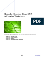 Molecular Genetics: From DNA To Proteins Worksheets