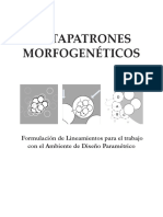 Metapadrones Morfogeneticos