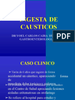 Ingestion Causticos