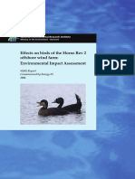 Baggrundsrapport Over Fugle PDF