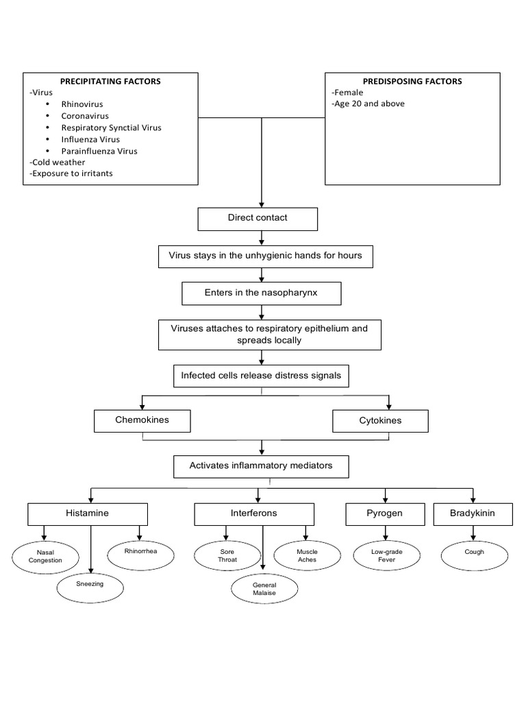 Rhinovirus vs. Common Cold Symptoms | PDF