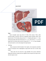 Anatomi dan fisiologi 1a new.docx