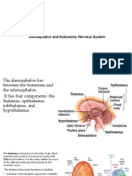 Autonomic N.S