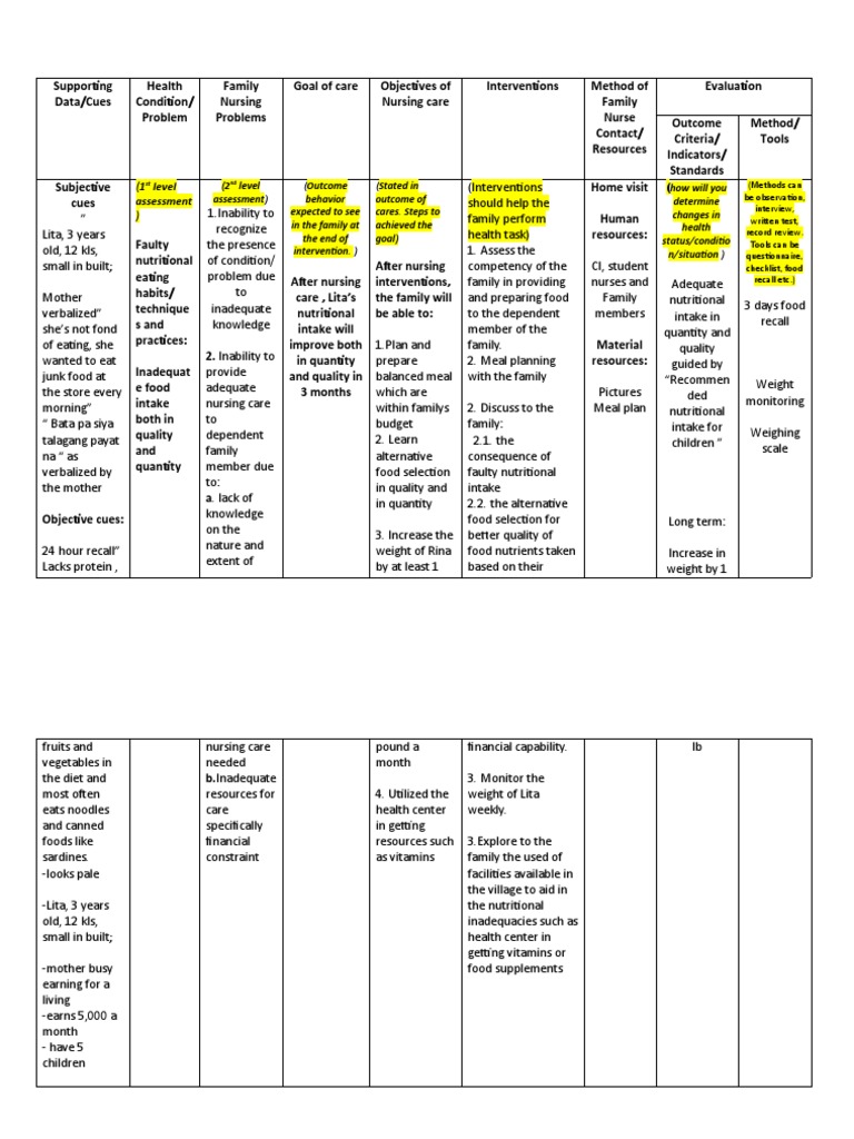 FNCP Sample | PDF | Nursing | Foods