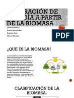 GENERACIÓN BIOMASA.pdf