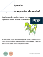 Porque As Plantas Sao Verdes