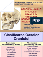 4. Oasele și unirile craniului. Craniul în ansamblu. Neurocraniul și viscerocraniul.