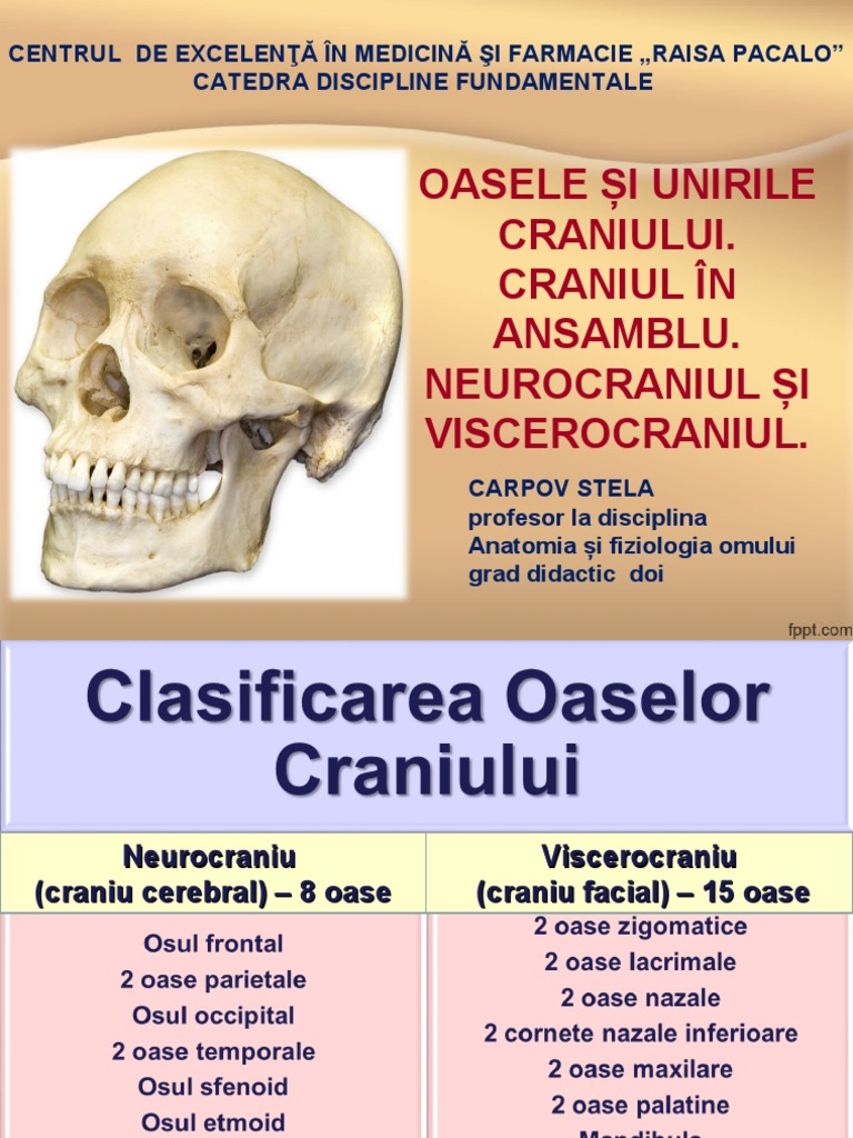 oasele craniului)