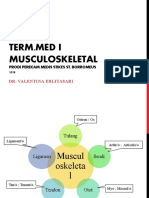 TermMed 3 - Musculoskeletal