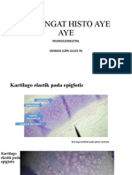 histologi blok 12