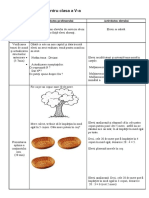 Proiecte didactice pentru clasa a V divizibilitate