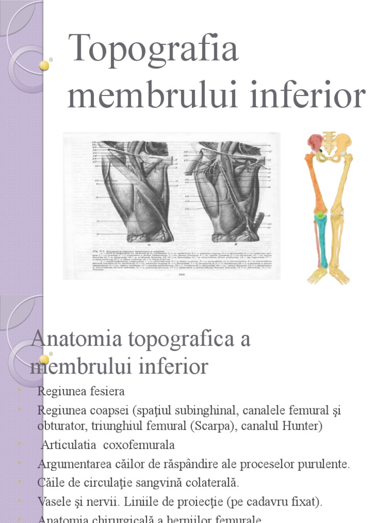 Lucru | PDF
