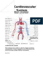 Function and Importance of The Cardiovascular System