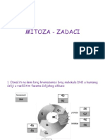 Mitoza Zadaci Rs PDF