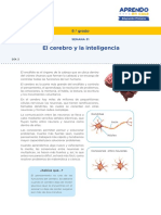 SEMANA 31 DIA 3-1 CyT