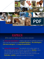 Rappel Génétique 2SC PDF