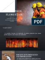 Incendios florestais