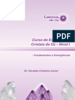 Apostila_do_curso_de_essências_Cristais_de_Oz_-_Nível_I_-_EAD.pdf