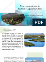 Conclusiones de Reserva Nacional de Salinas y Aguada Blanca