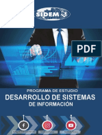 DESARROLLO DE SISTEMAS  DE INFORMACIÓN.pdf