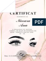 Certificat: Nicoara Ana