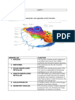 Enumerate The Different Eukaryotic Cell Organelles and Its Function