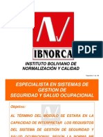 257465907-Seguridad-y-Salud-Ocupacional-Modulo-II-Ibnorca.pdf