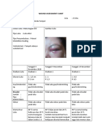 Sasi Wound - Assessment - Chart