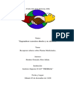 Trabajo Final Educación Ambiental - Benitez Gonzalo Ríos Julián