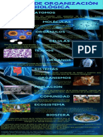 Anexo No. 1 Infografía Niveles de Organización Biológica PDF
