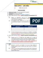 Indicaciones DPCC Web