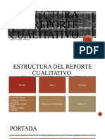 Estructura Del Reporte Cualitativo