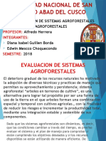 Sistemaa Agroforestales Exposicio