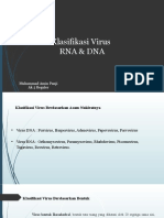 Klasifikasi DNA Dan RNA