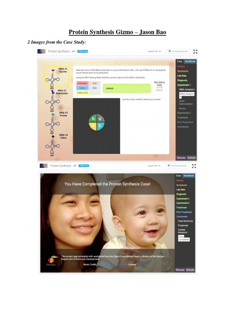 Protein Synthesis Gizmo Answer Key Lucy