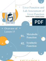 Liver Function and Lab Assessment of Liver Function: Synthetic Function - Metabolic Function