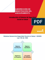 Introd Sistema Seguridad PDF
