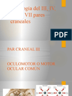 Diapositivas Pares Craneales