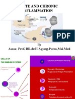 Acute and Chronic Inflammation