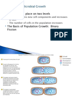 Bactreial Growth Curve