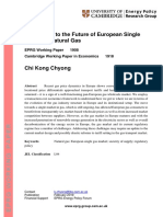 Challenges To The Future of European Single Market For Natgas 1 CPD
