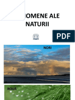 FENOMENE ALE NATURII.pptx