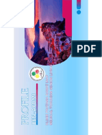 Profile APDMI PDF