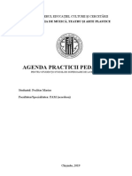 Portofoliu_Practica_pedagogica_FINALa-2