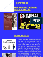 Understanding Our Criminal Justice System